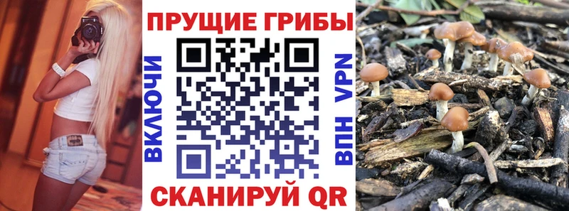 Псилоцибиновые грибы мухоморы  кракен ссылки  Темников 