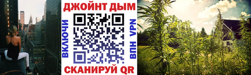 закладки  Темников  МАРИХУАНА марихуана 